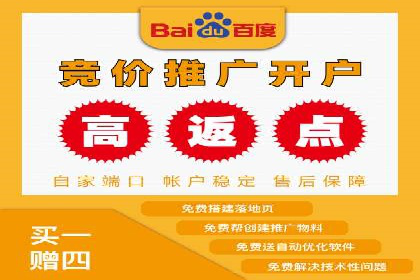 百度竞价排名案例分享：广告投放的技巧与误区